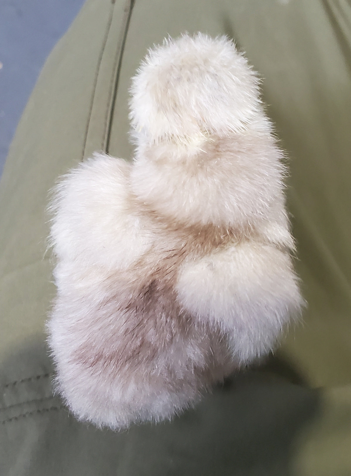 Unsexed Silkie Chick Under 6 Weeks Old